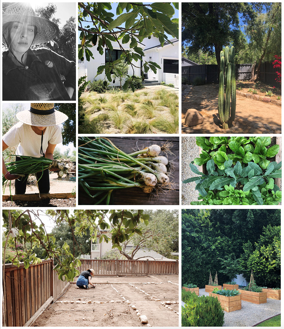 The Juliette Interviews: Sustainable Landscapes by Lily Polstein