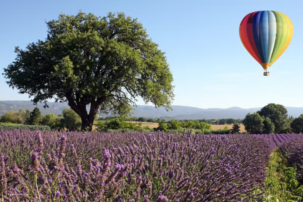 Top 10 Best Restaurants And Stays in Provence, France