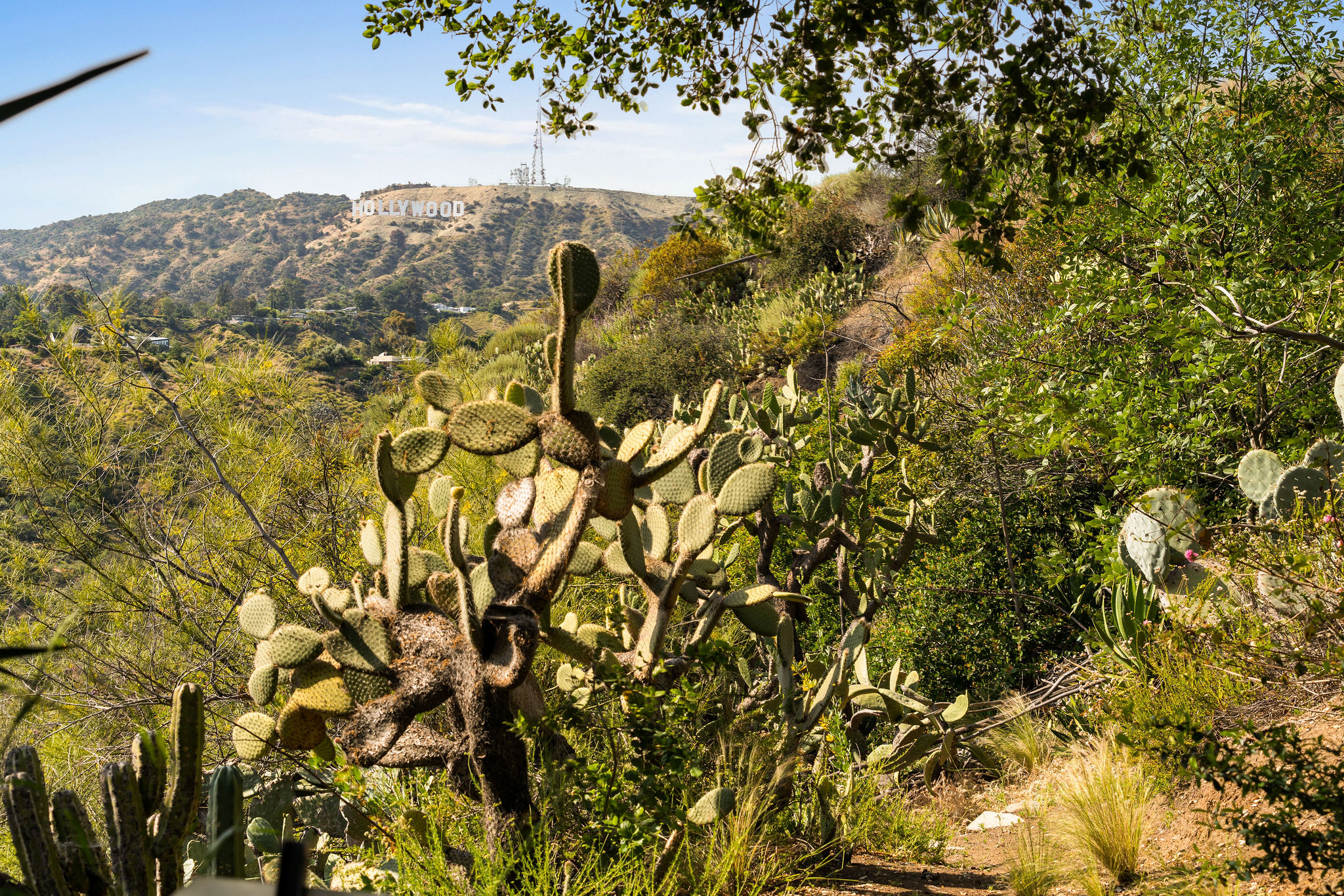 <?php the_title(); ?> - Gallery