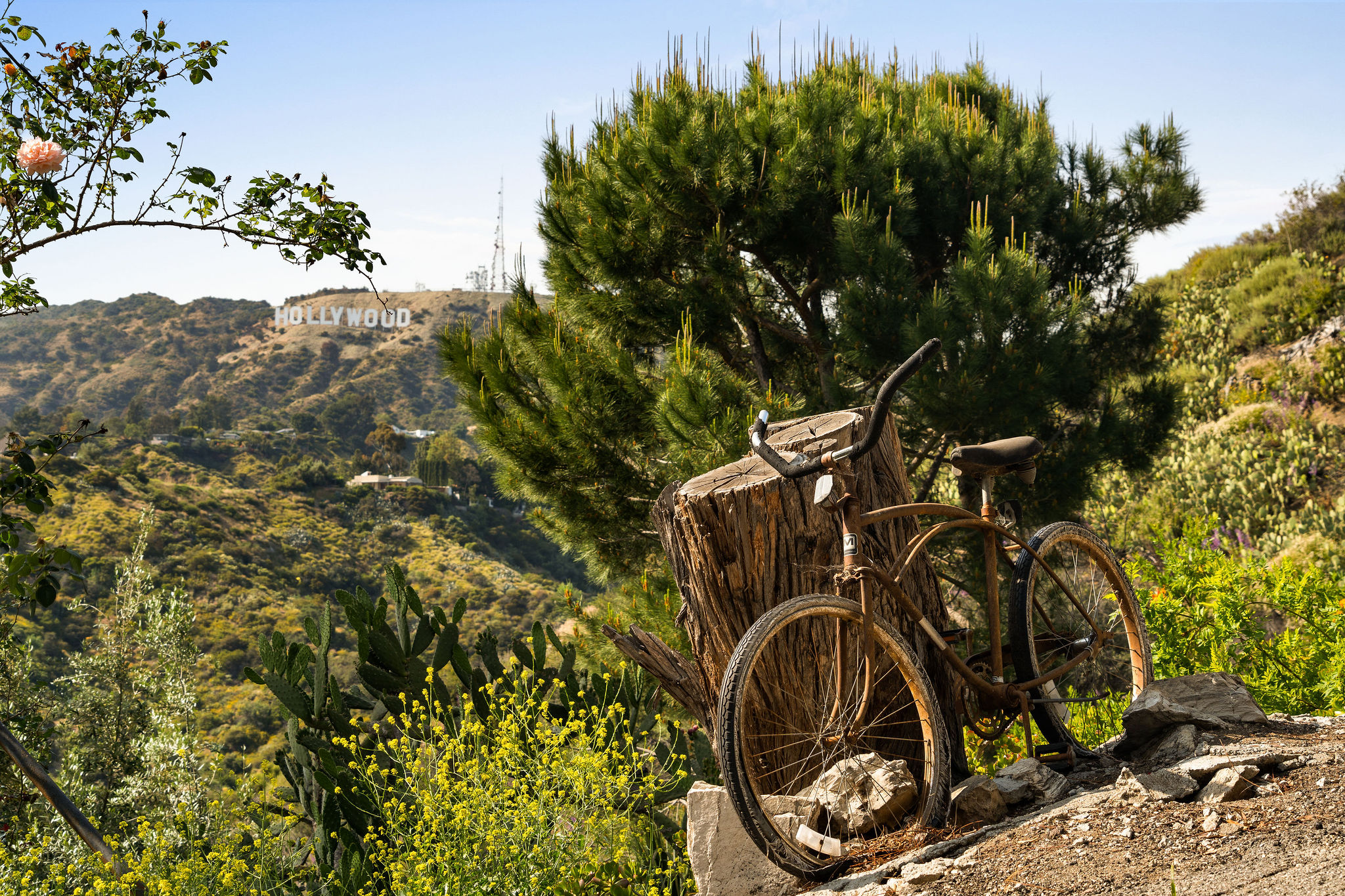 <?php the_title(); ?> - Gallery