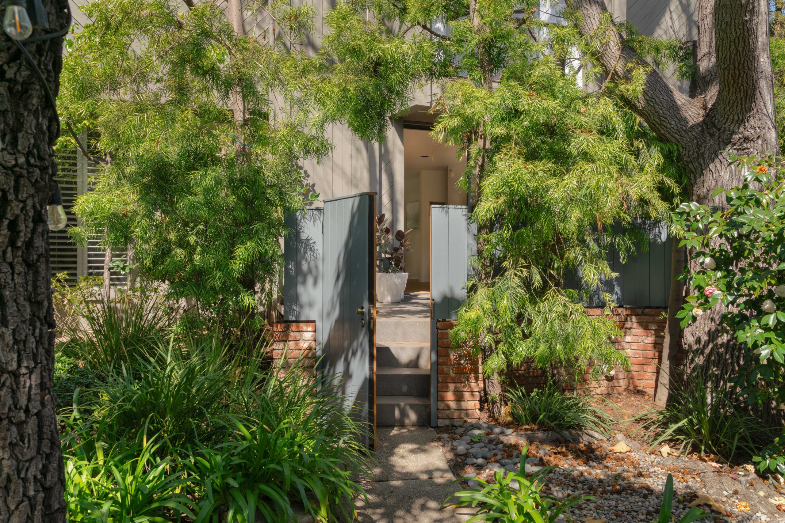 <?php the_title(); ?> - Gallery