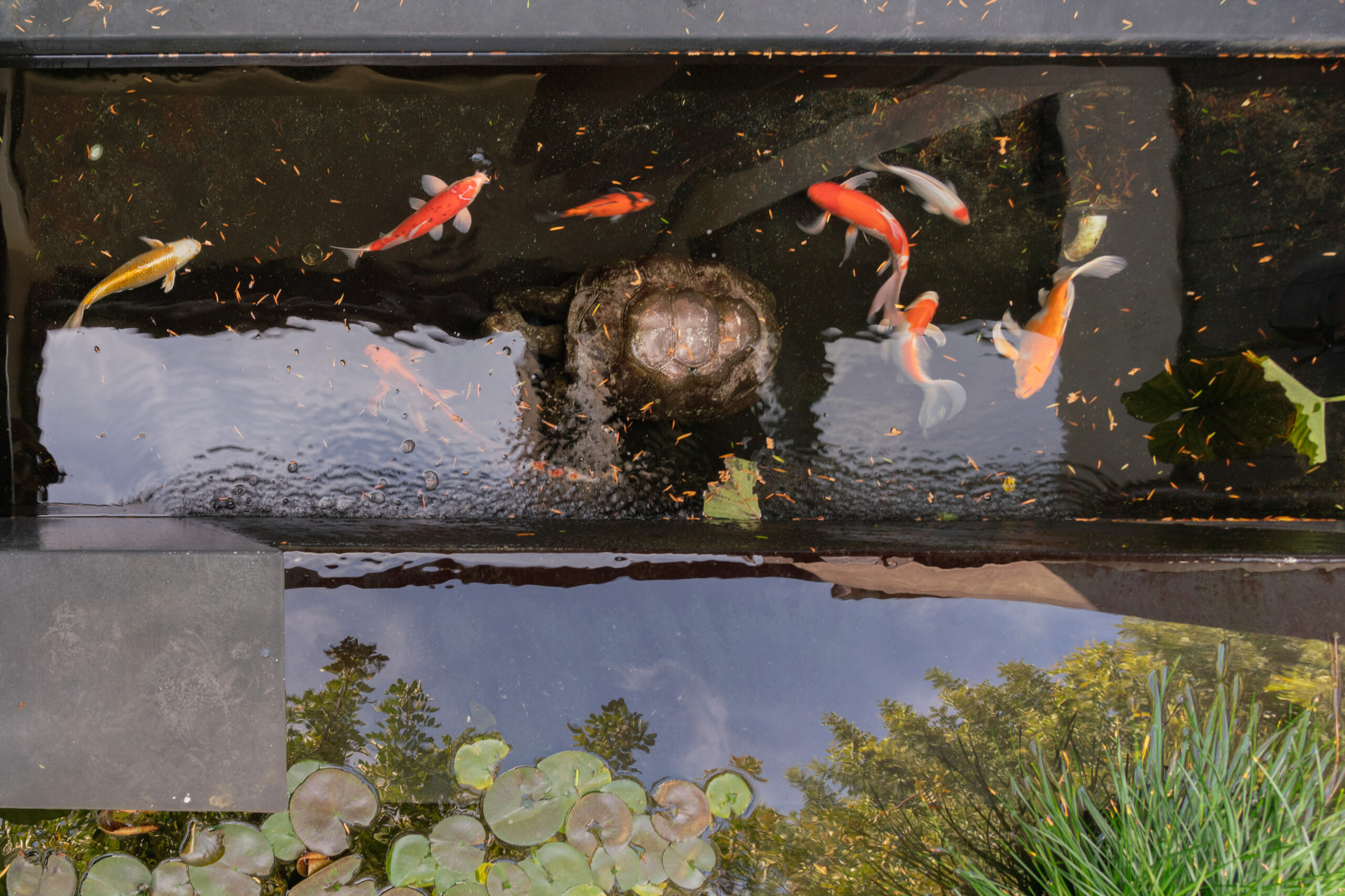 <?php the_title(); ?> - Gallery