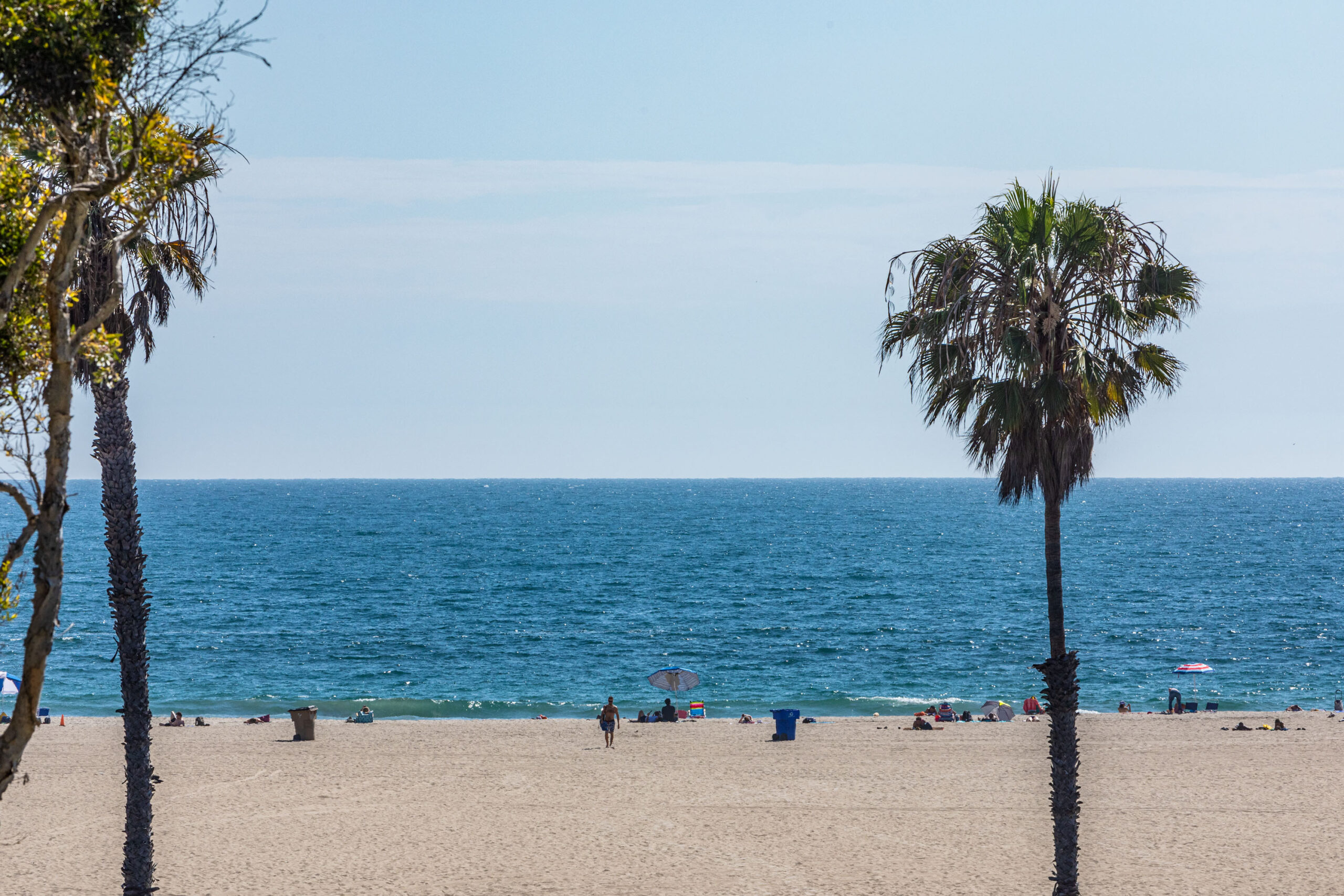 <?php the_title(); ?> - Gallery